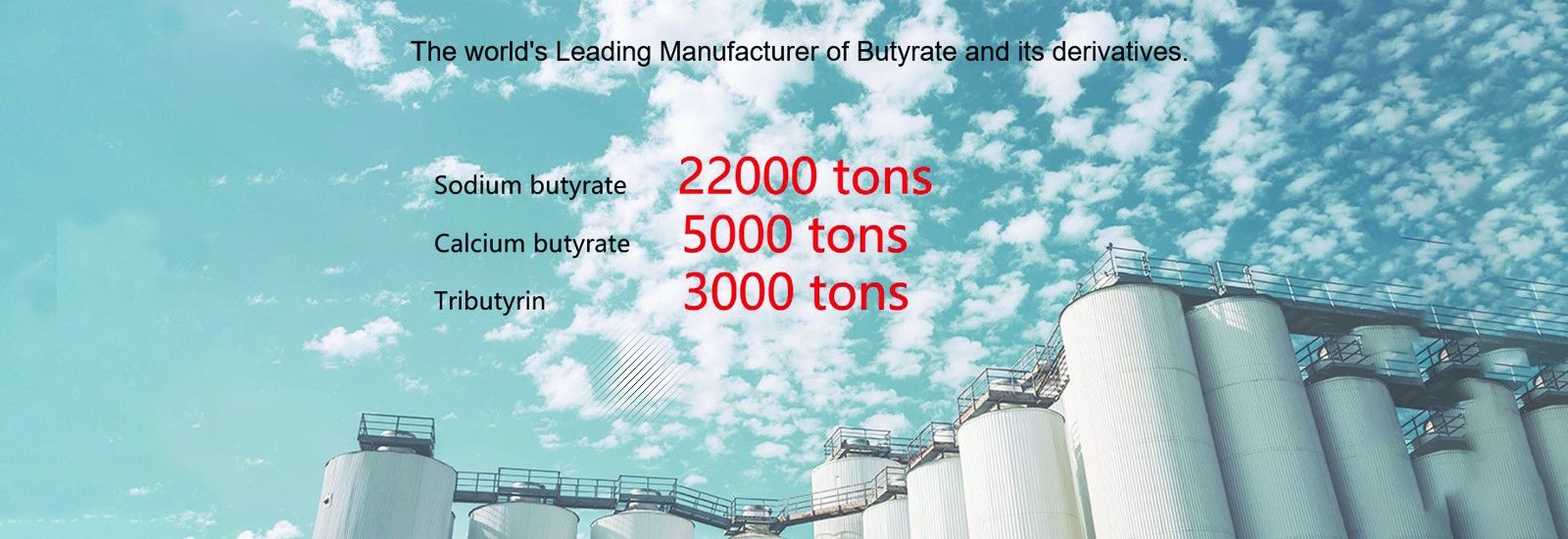 Natriumbutyrat-Pulver