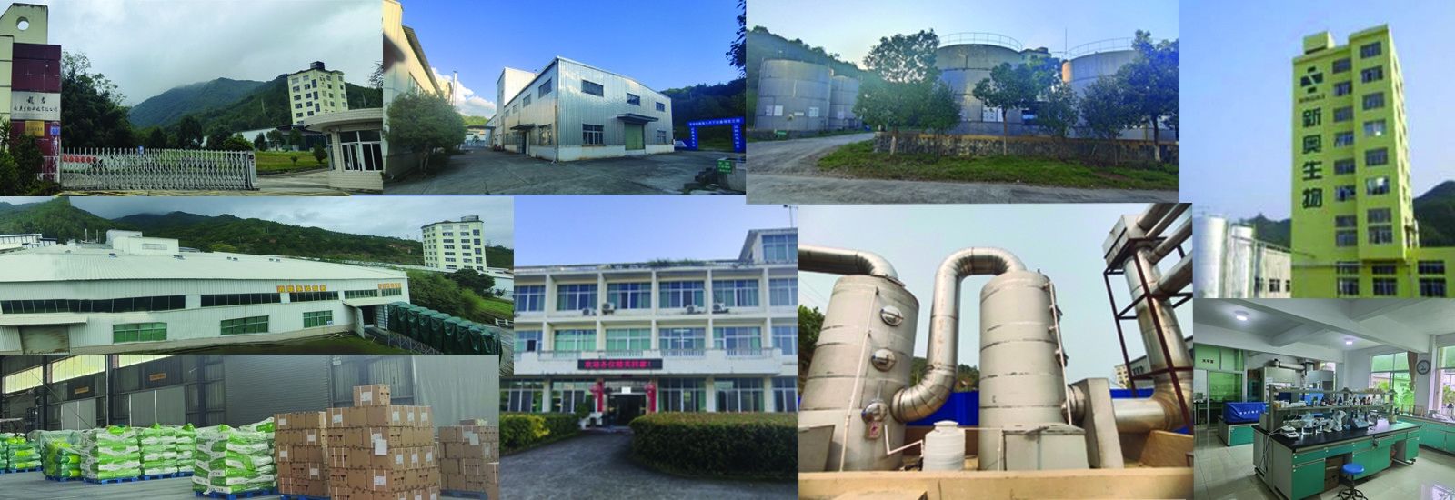 Kurzgekettetes Fettsäure-Butyrat