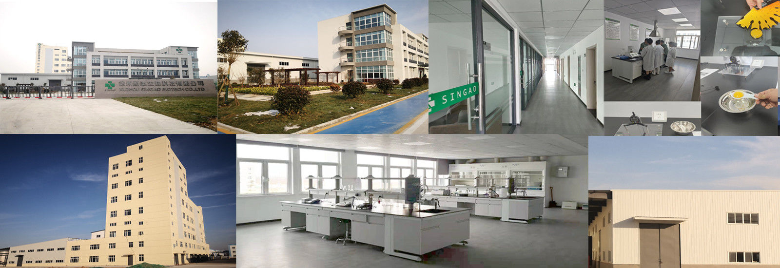 Überzogenes Natriumbutyrat