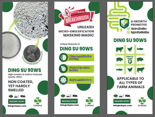 Geruchloses, nicht beschichtetes Natriumbutyrat 90% für Aqua