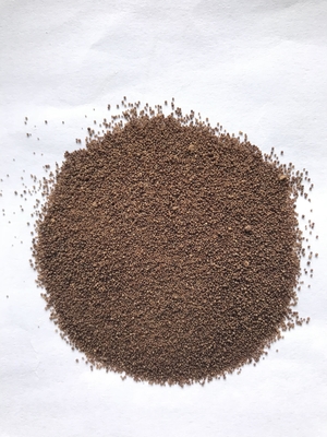 Probiotika aus Clostridium butyricum