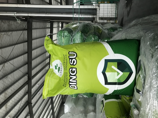 90% Kalziumbutyrat plus 10% Milchsäurebazillus CAS 5743-36-2 für Geflügel