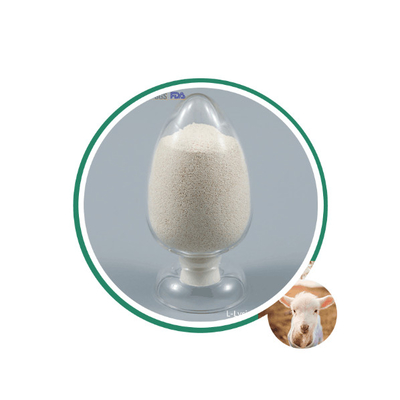 Langsam freisetzendes 80% beschichtetes Calciumbutyrat 50% Plus Natriumbutyrat 30% CAS 5743-36-2 Für Aqua