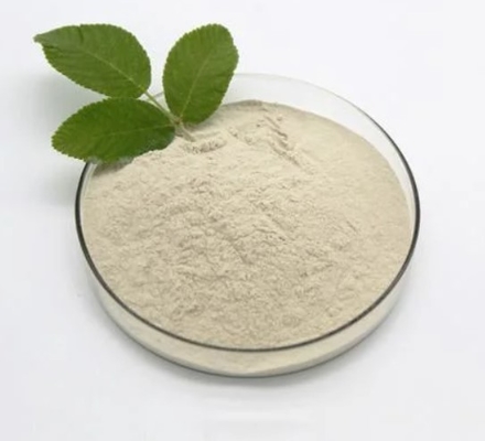 Natriumbutyrat des Bacillus-subtilis90% C4H7O2Na pulverisieren CAS 156-54-7